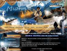 Tablet Screenshot of muzeum6d.pl